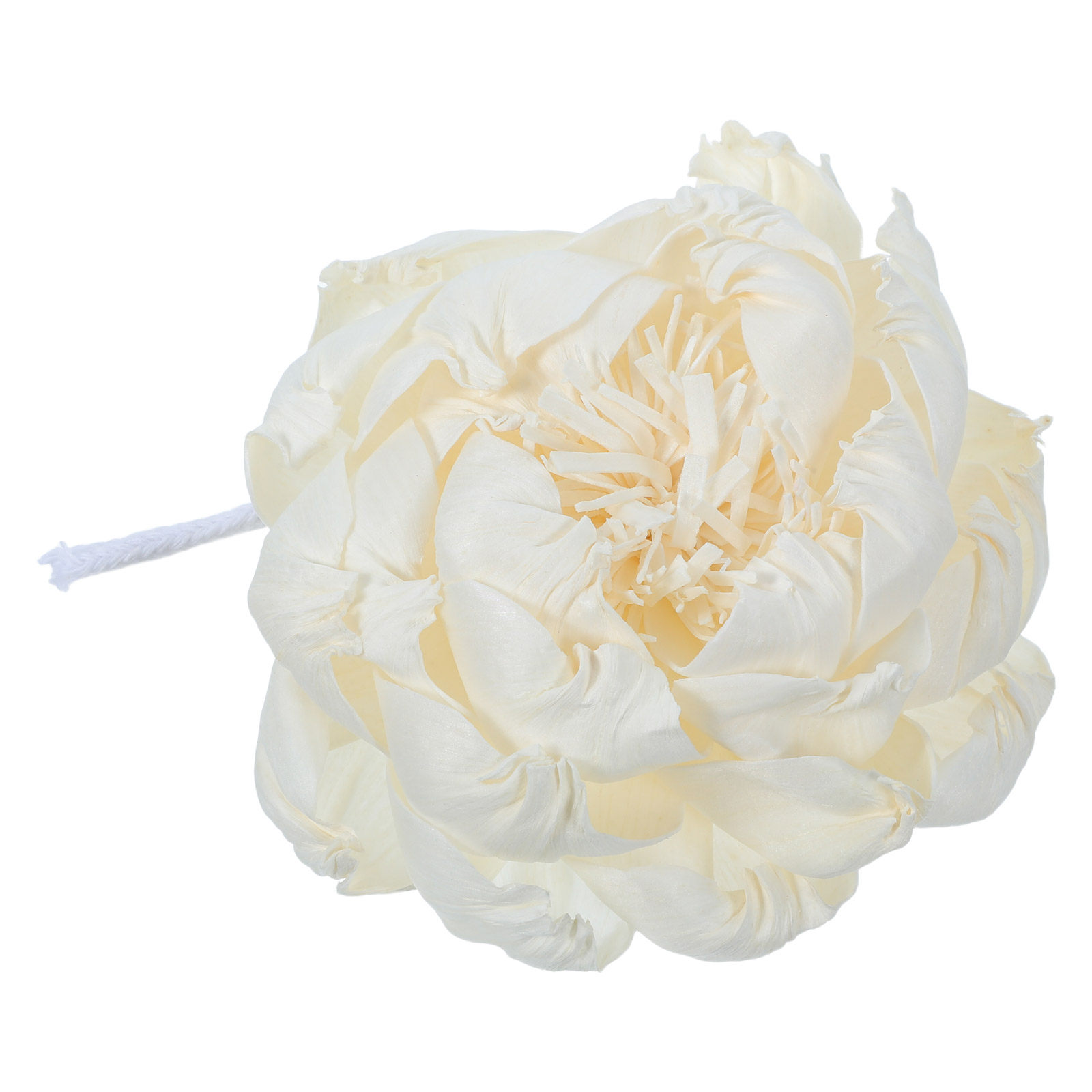 Difusor de Aroma Peony Head 12 - Home Fragrance Oil Diffuser avaliação e preço