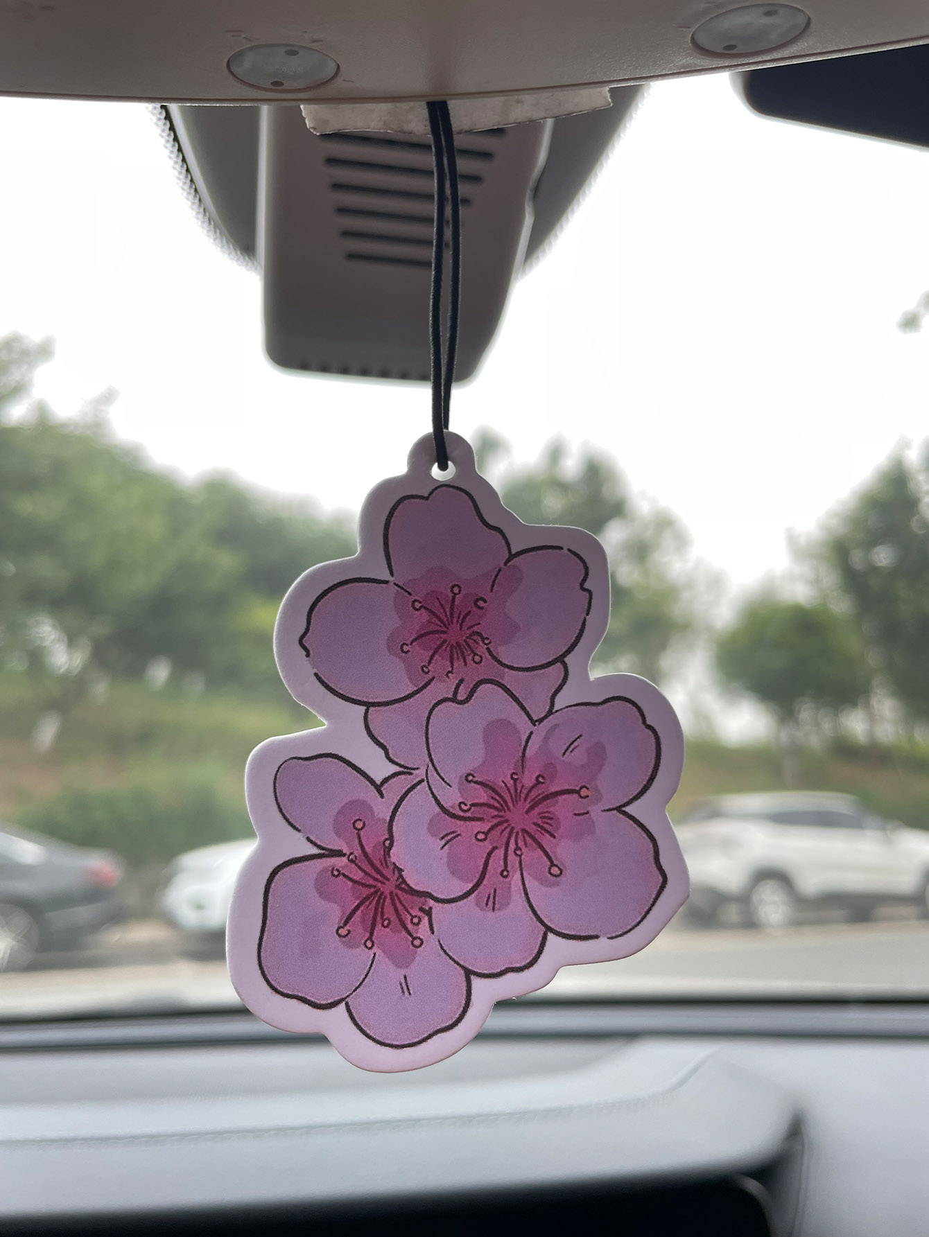 Perfume de Carro Neutro com Fr - Home Fragrance Types avaliação e preço